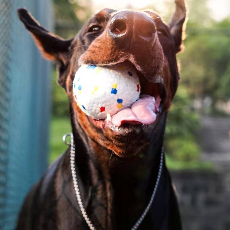 Interactive Dog Toys Chewing Balls Super Durable ETPU Eco friendly