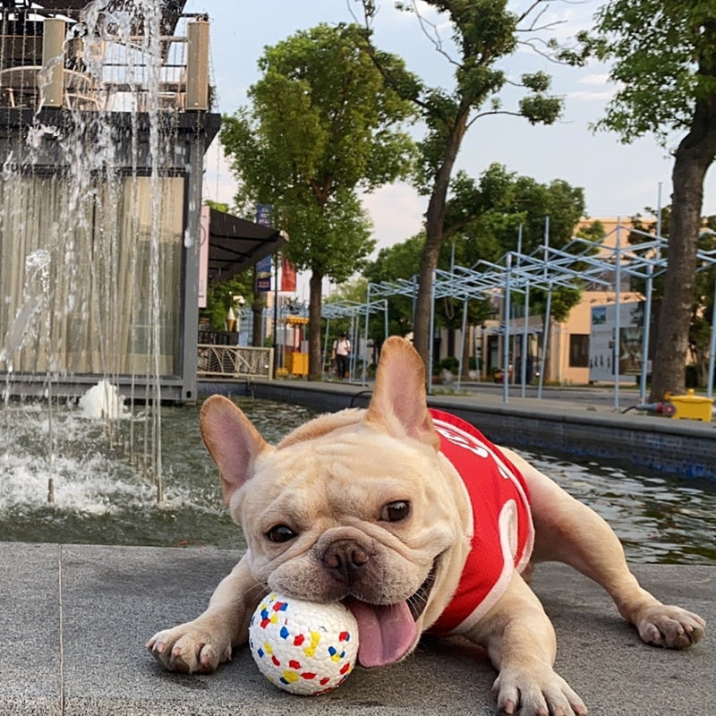 Interactive Dog Toys Chewing Balls Super Durable ETPU Eco friendly