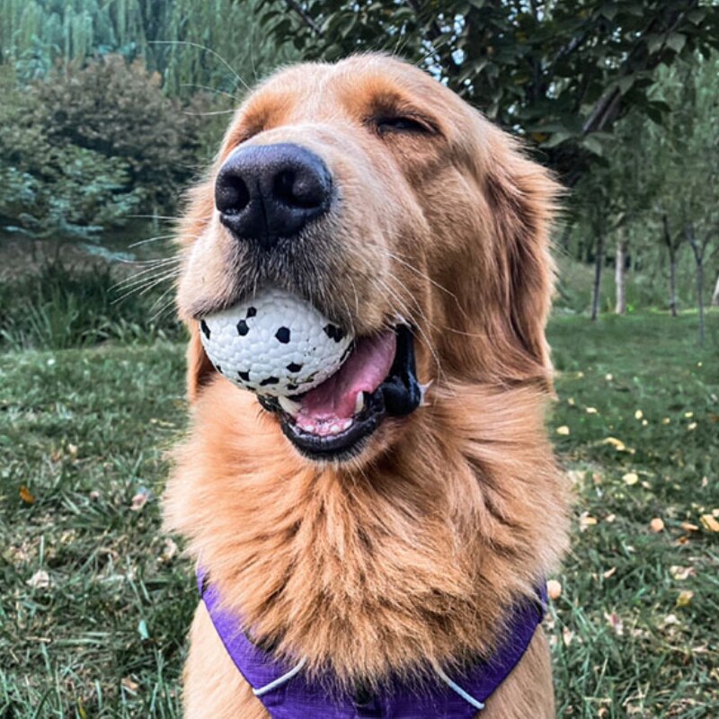 Interactive Dog Toys Chewing Balls Super Durable ETPU Eco friendly