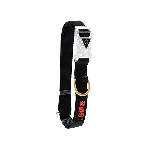 Popular Led Light Dog Collar Nylon Durable Battery Pet Collars