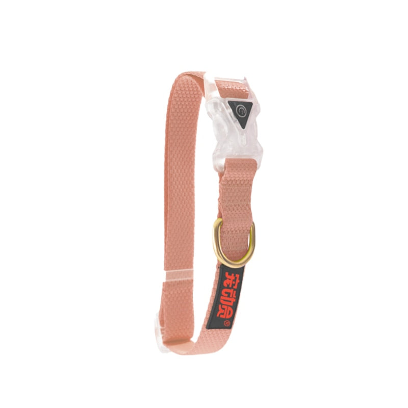 Popular Led Light Dog Collar Nylon Durable Battery Pet Collars
