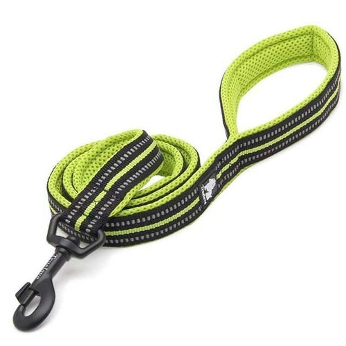 Truelove Soft Padded Mesh Dog Leash 3m Reflective Nylon Dog Leads Dog