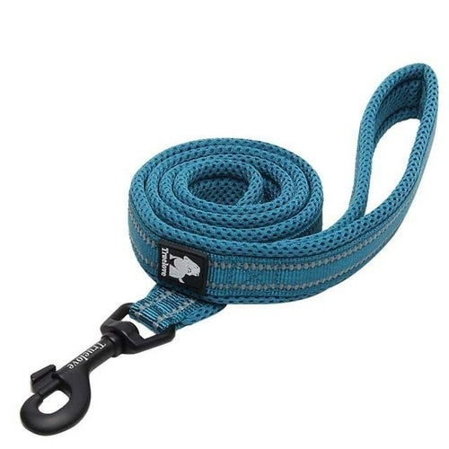 Truelove Soft Padded Mesh Dog Leash 3m Reflective Nylon Dog Leads Dog