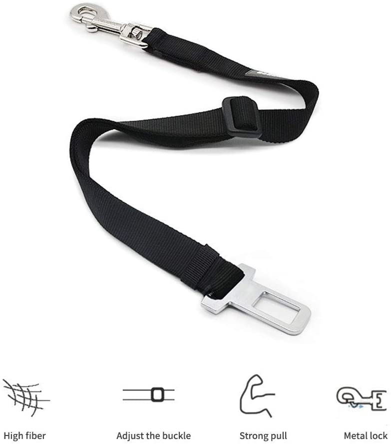 Dog lead for outlet car