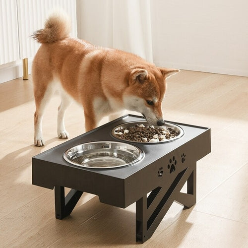 Elevated Dog Bowl Pet Feeder Stainless Steel Raised Food Water