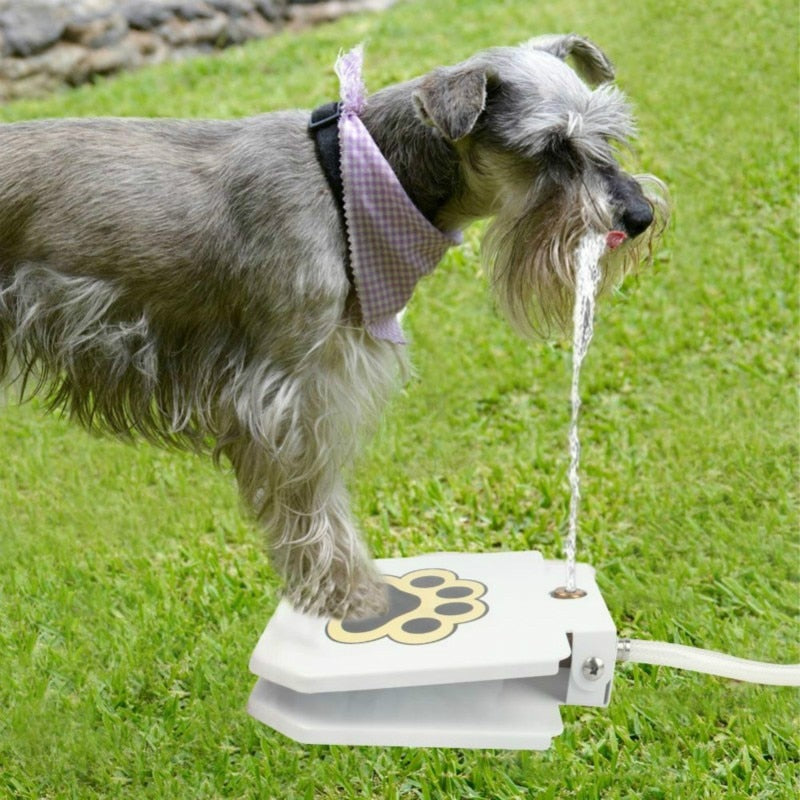 Outdoor Automatic Dog Water Fountain Step On Toy Dog Drinking Joy With