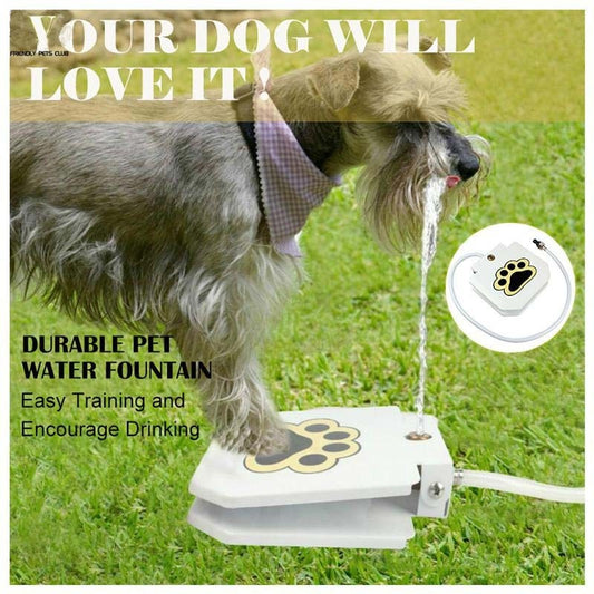 Outdoor Automatic Dog Water Fountain Step On Toy Dog Drinking Joy With